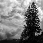 Wandern in den Alpen, Kleinwalsertal