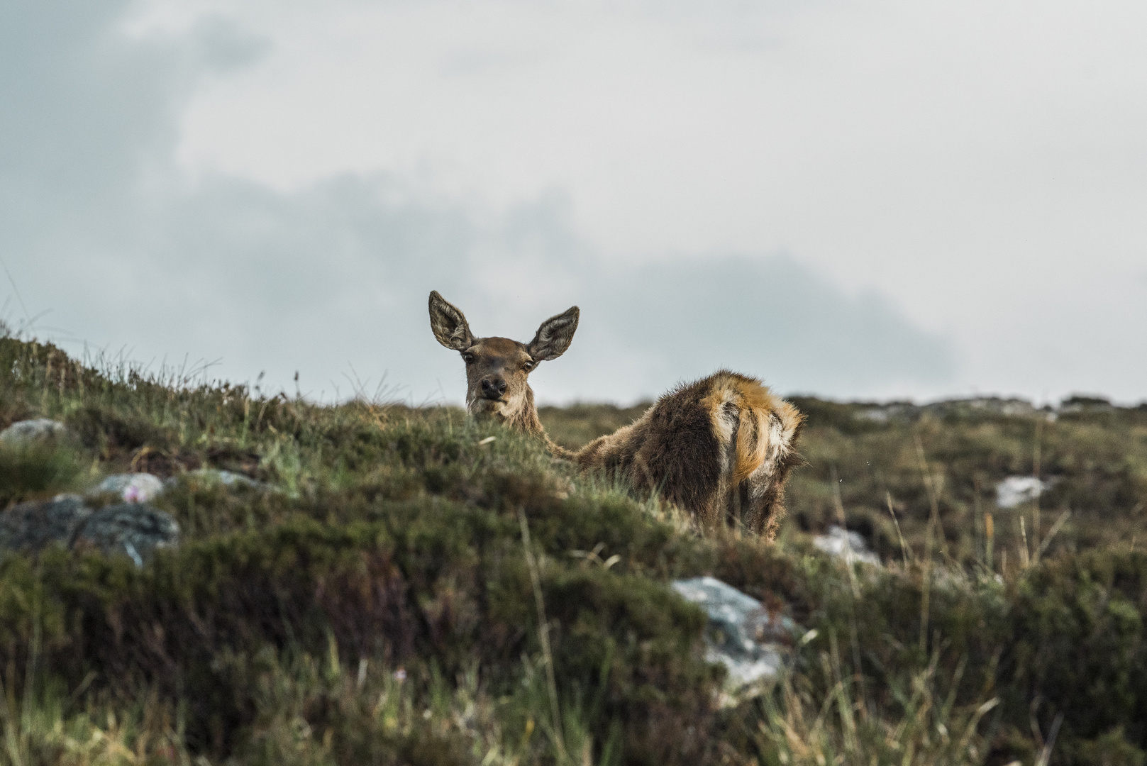 Wandern in den Highlands