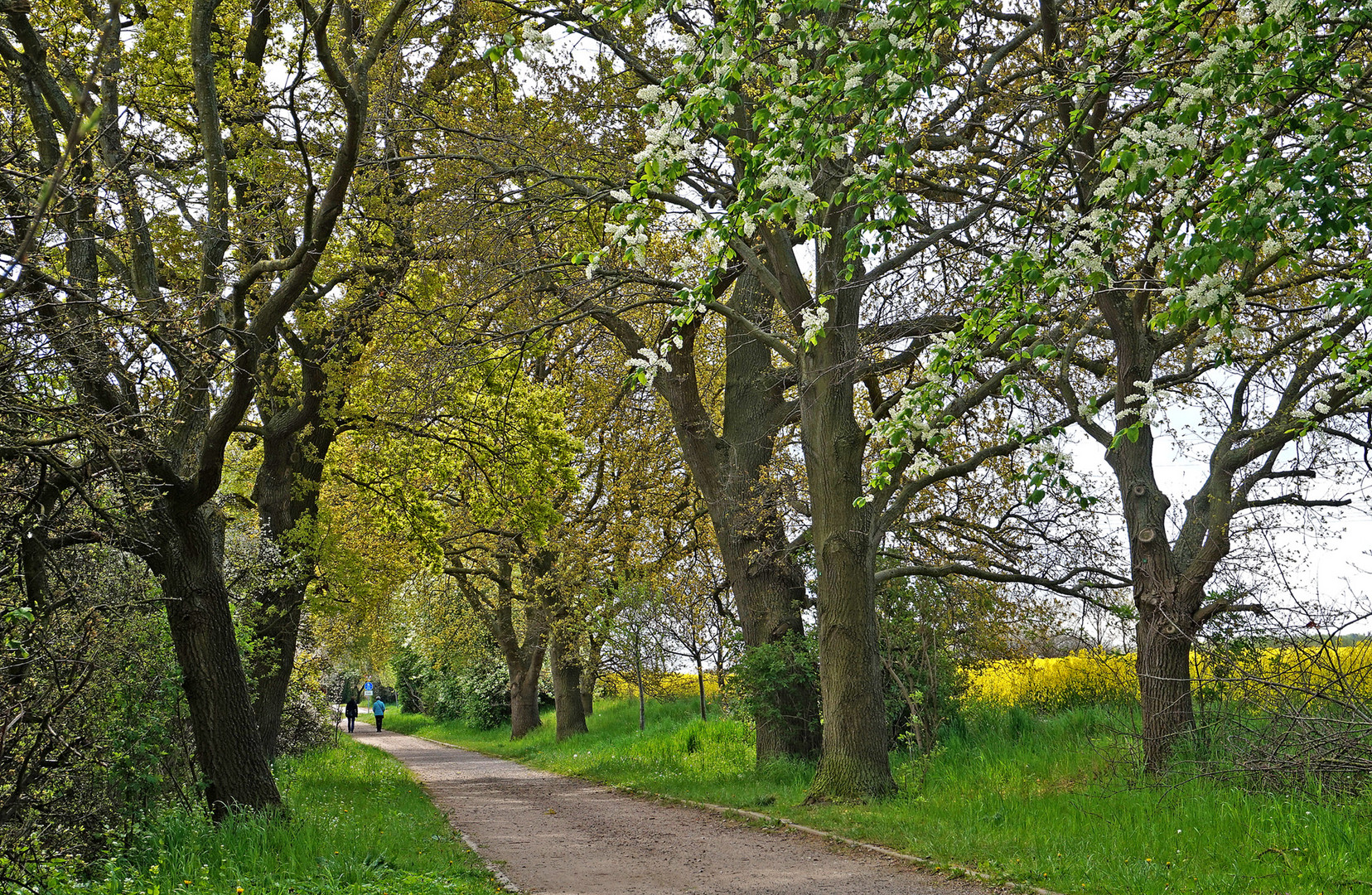 Wandern in den Mai