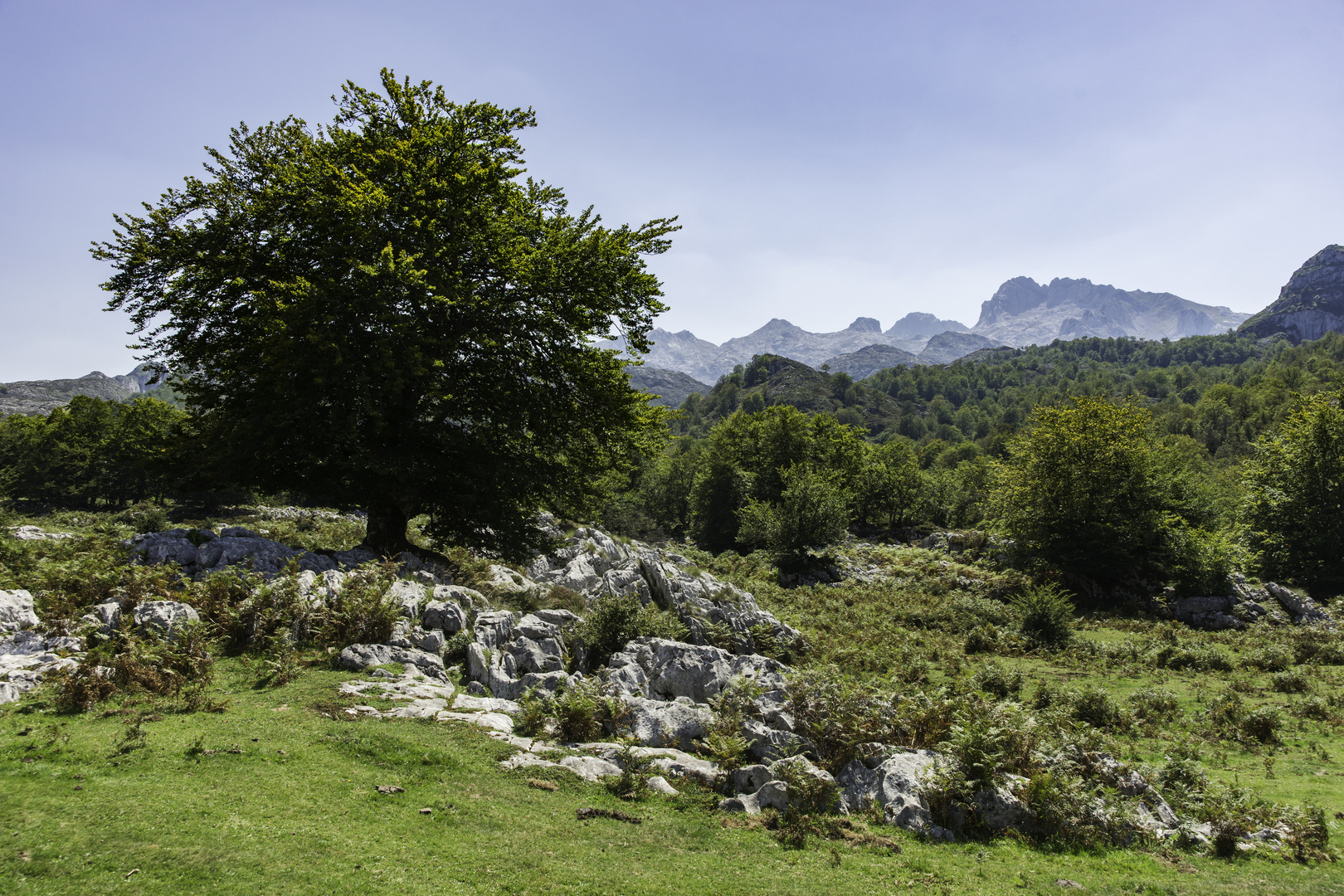 Wandern in den Picos de Europa II