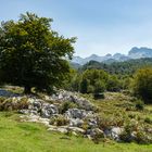 Wandern in den Picos de Europa II