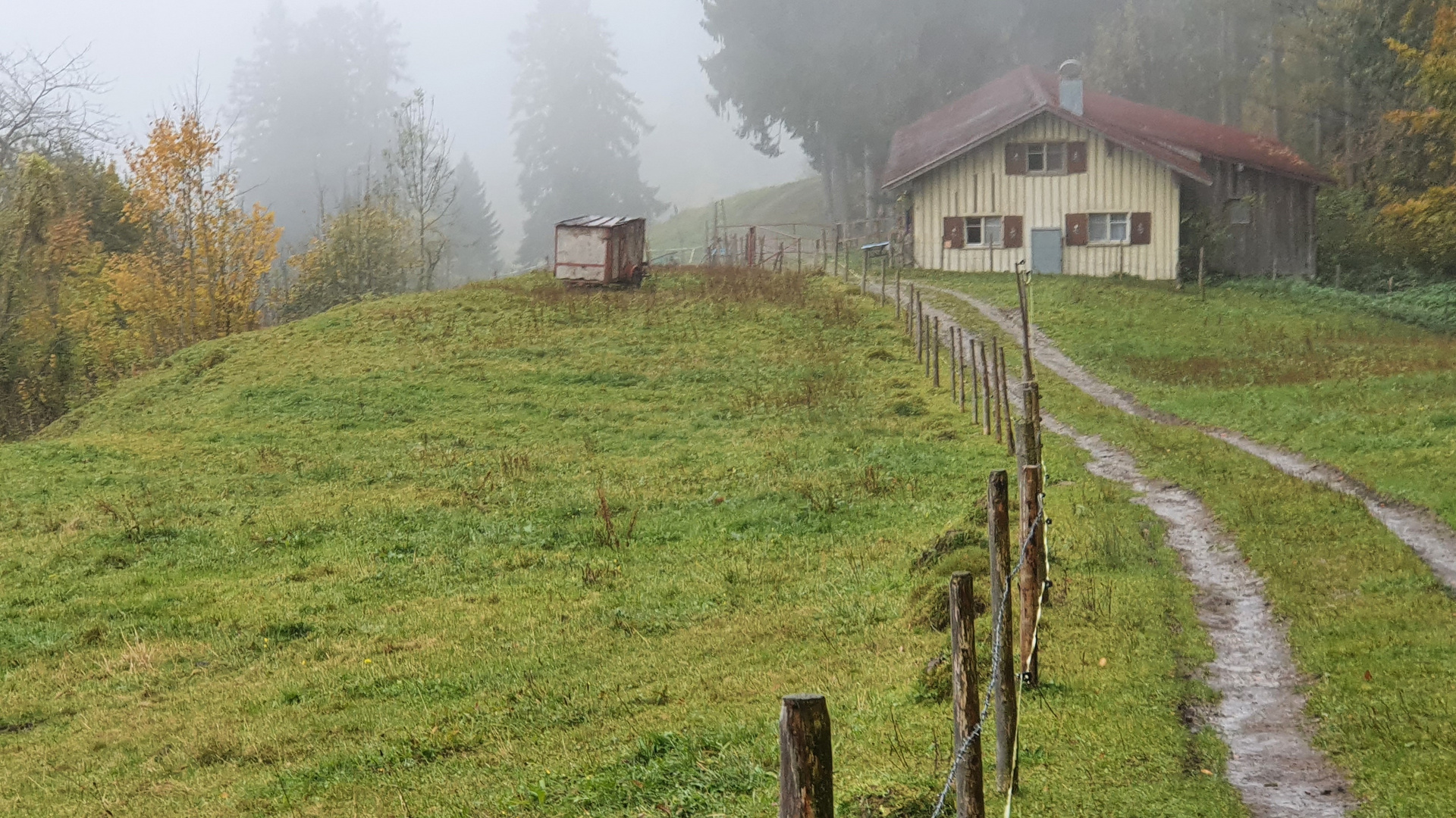 Wandern in den Wolken ...