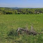 Wandern in der Eifel