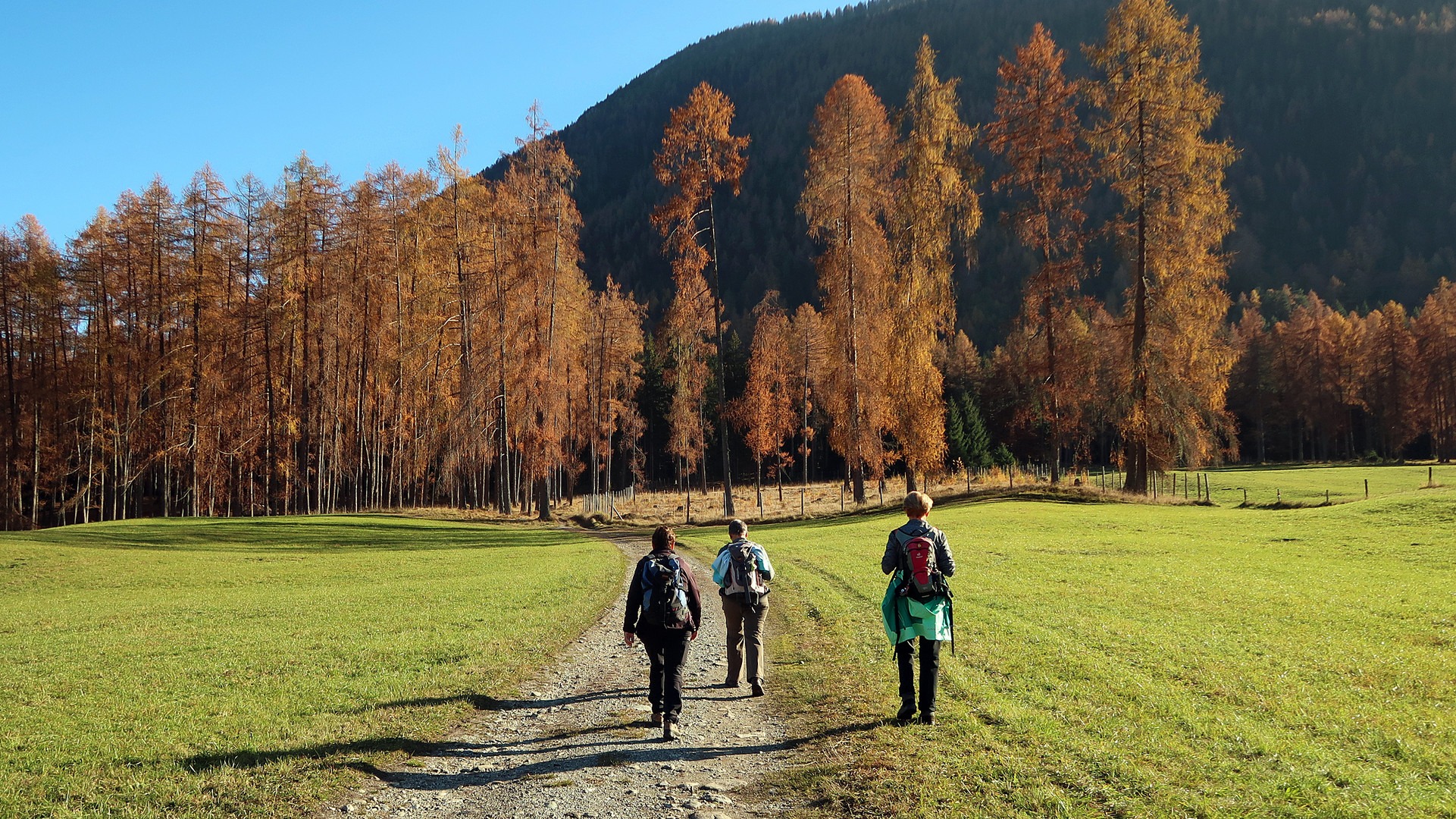 Wandern in der Herbstsonne