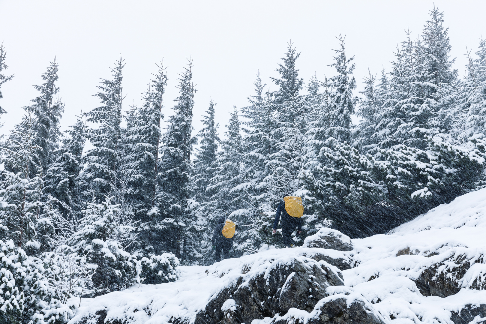 Wandern in der Hohen Tatra