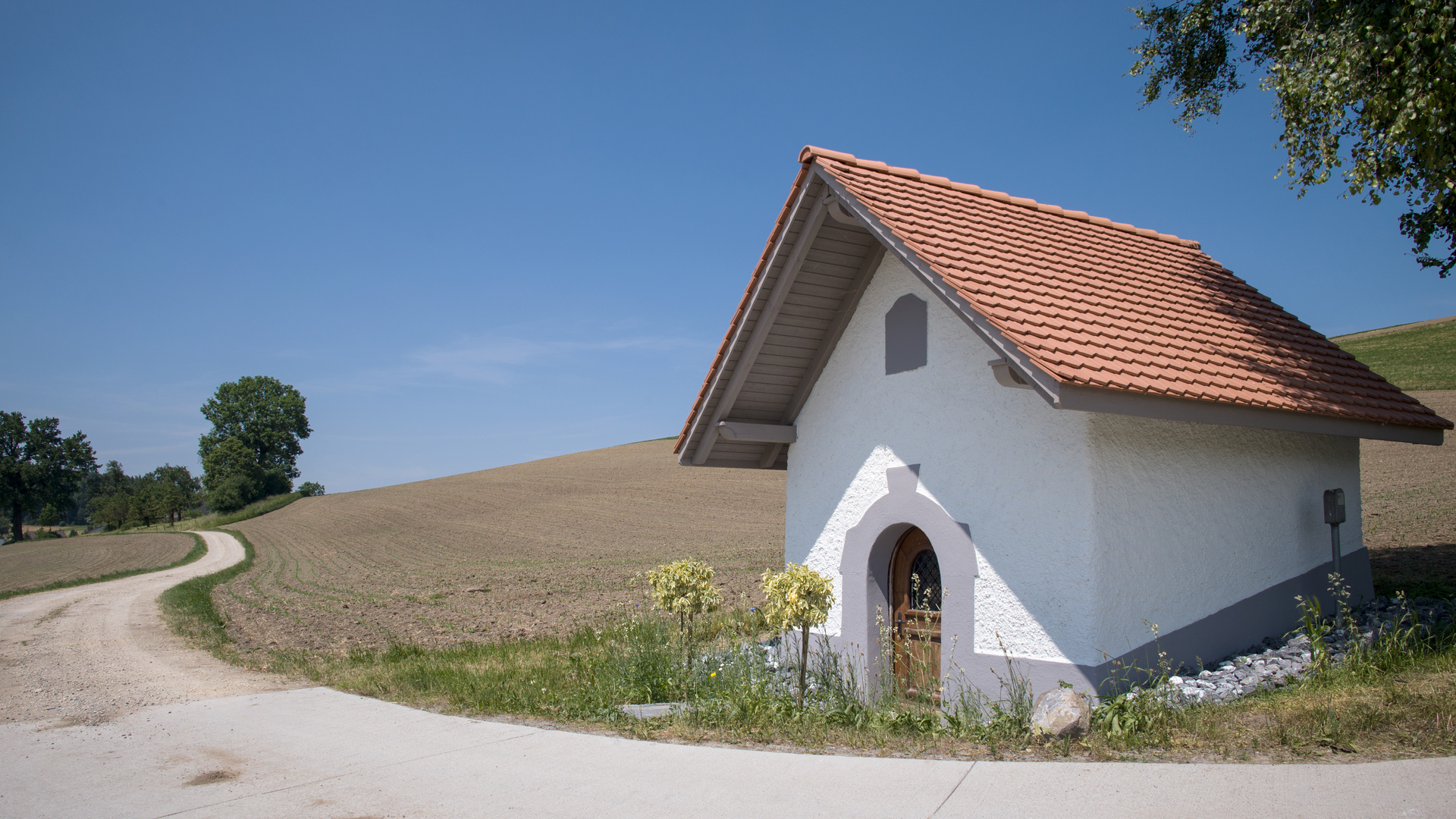 Wandern in der Natur