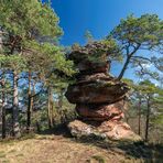 Wandern in der Pfalz