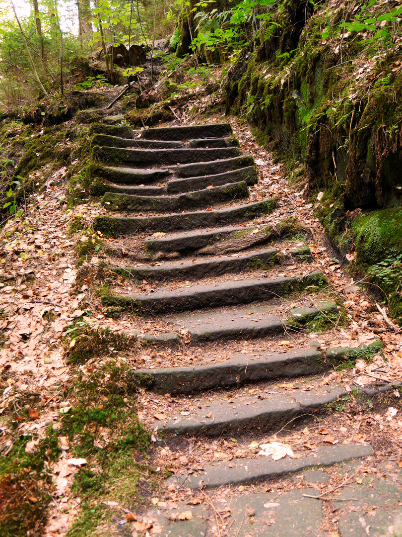 Wandern in der Sächsischen Schweiz