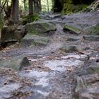 Wandern in der sächsischen Schweiz