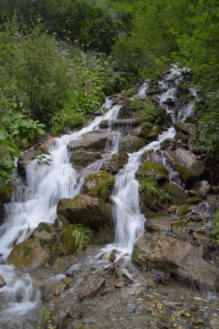 Wandern in der Schweiz