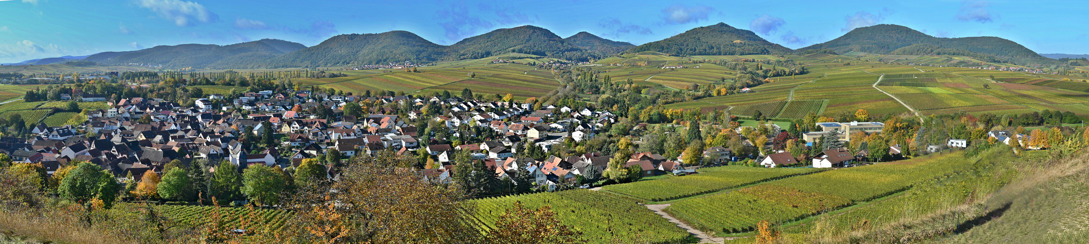 Wandern in der Südpfalz