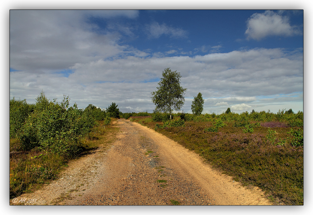 Wandern in der Syrauer Heide