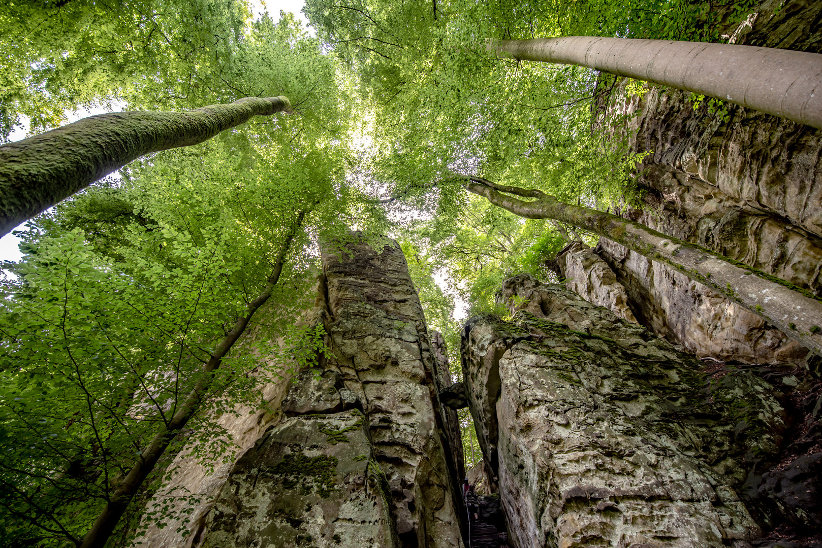 Wandern in der Teufelsschlucht