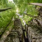 Wandern in der Teufelsschlucht