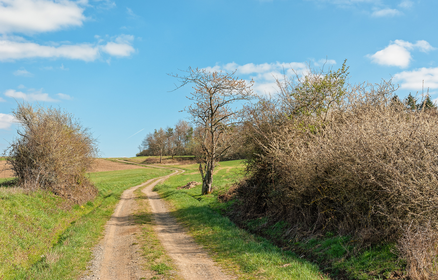 Wandern in der Westpfalz