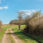 Wandern in der Westpfalz