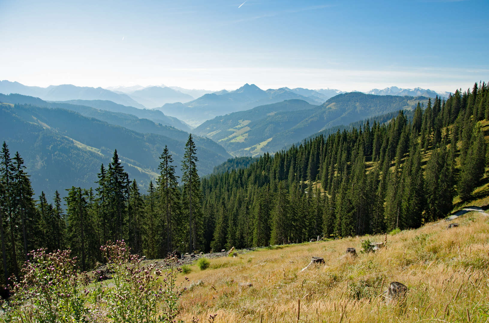 Wandern in Dienten am Hochkönig