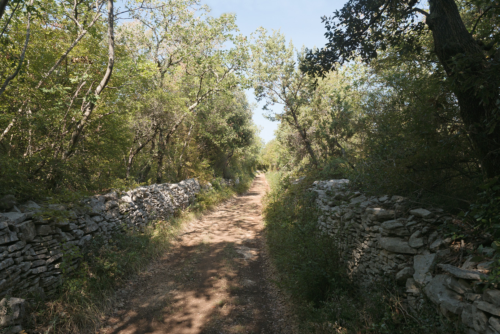 Wandern in Istrien