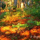 Wandern in Jena