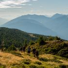 Wandern in Kärnten