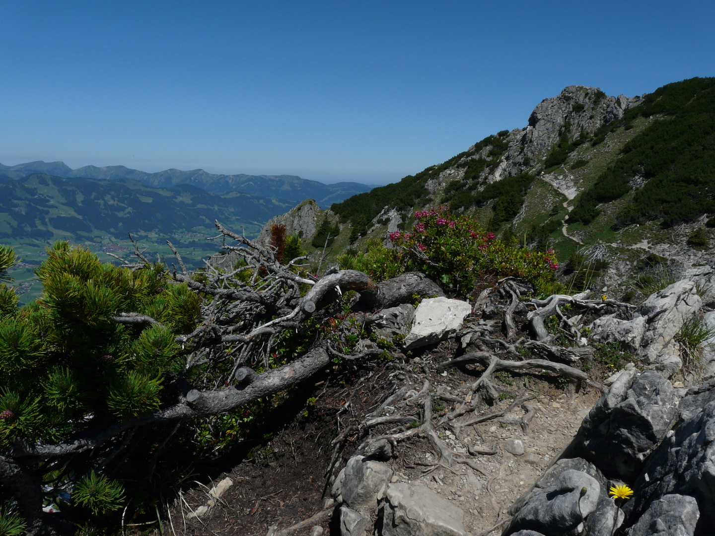 Wandern in luftiger Höhe macht den Kopf frei und lässt das Liebste nicht vergessen .