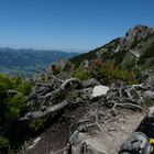 Wandern in luftiger Höhe macht den Kopf frei und lässt das Liebste nicht vergessen .