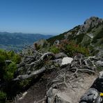 Wandern in luftiger Höhe macht den Kopf frei und lässt das Liebste nicht vergessen .