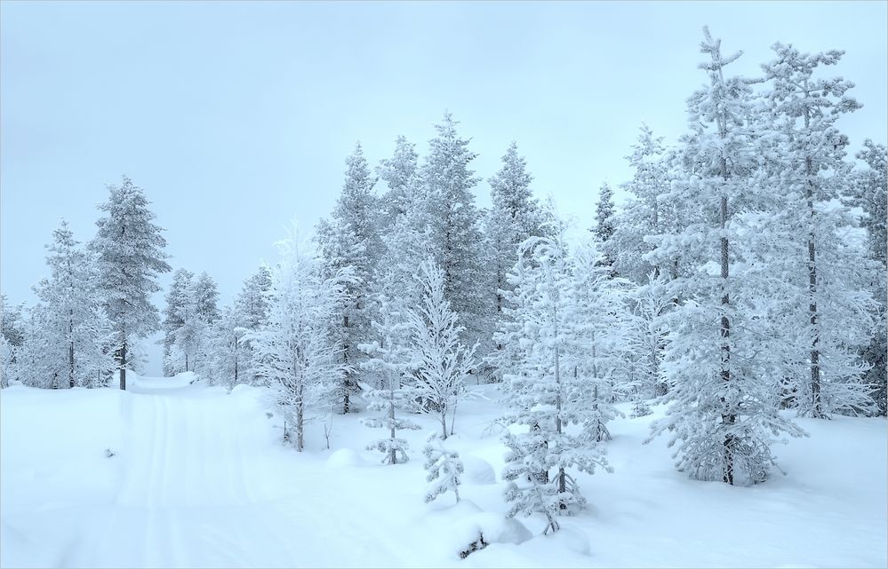 Wandern in Ostfinnland