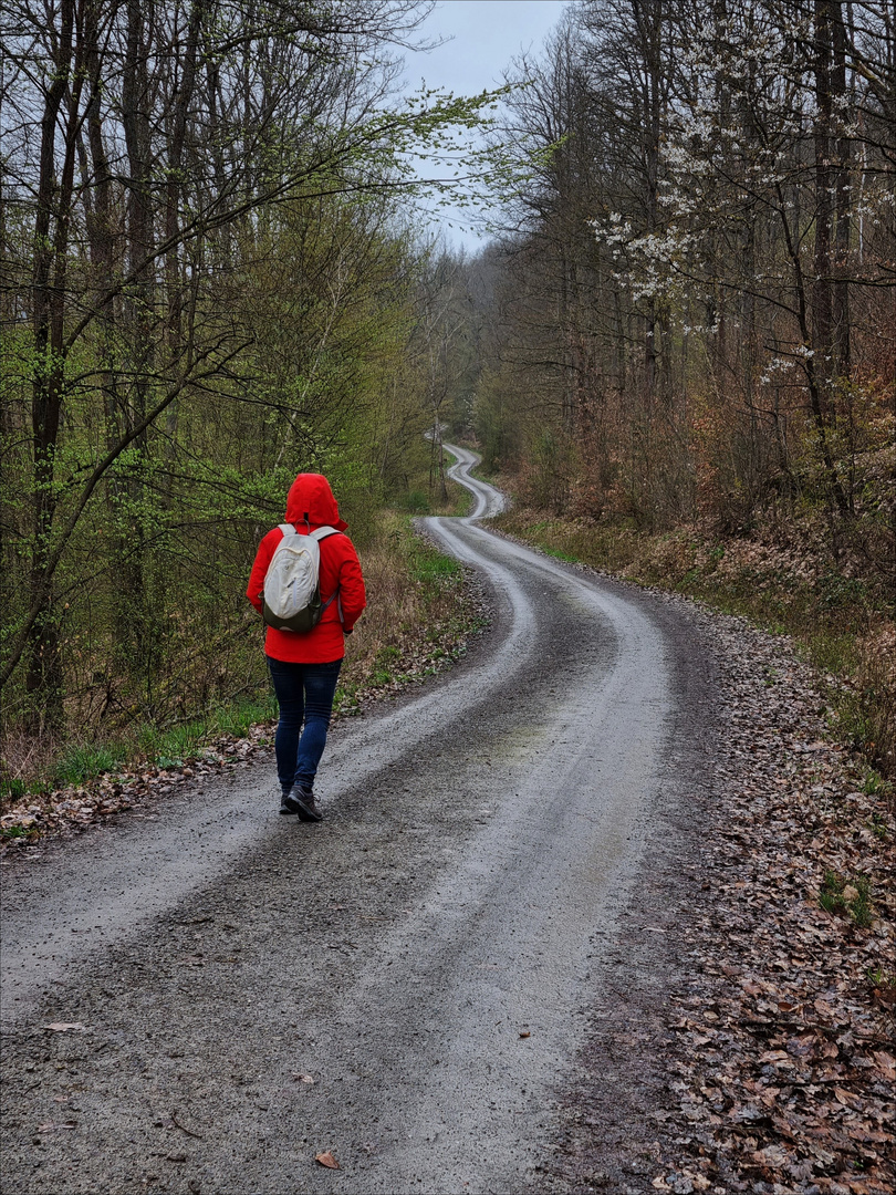 "Wandern in Schlangenlinien" :)