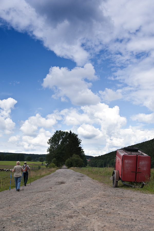 Wandern in Thüringen