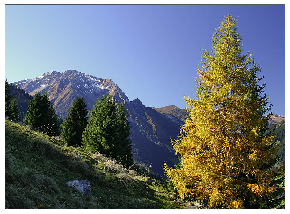 :::...wandern in tirol...:::