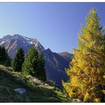 :::...wandern in tirol...:::