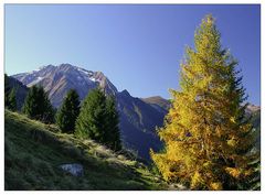 :::...wandern in tirol...:::