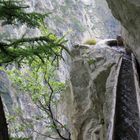 Wandern in wilder Natur: die Suonen des Wallis II