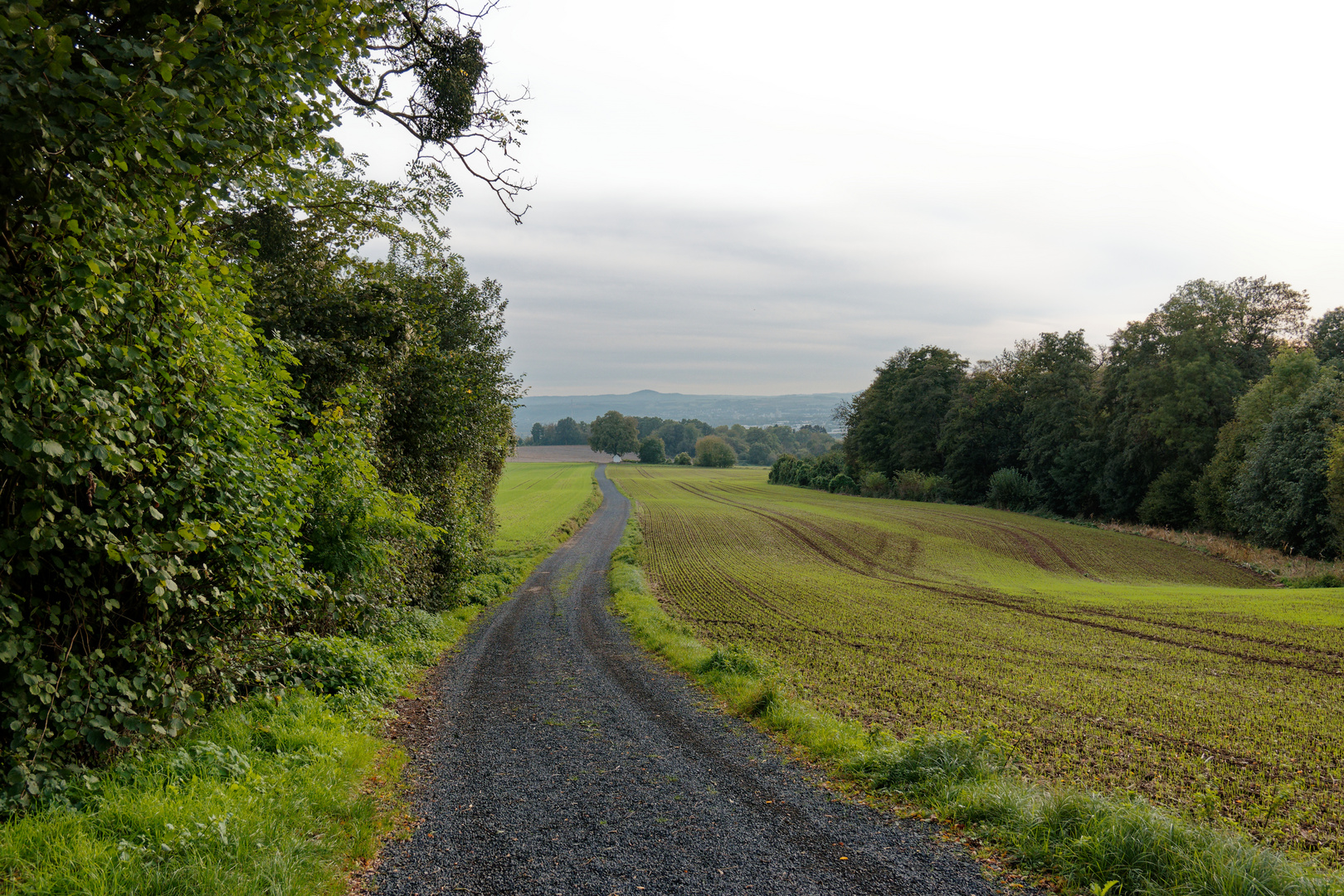 Wandern mit der kleinen Sony