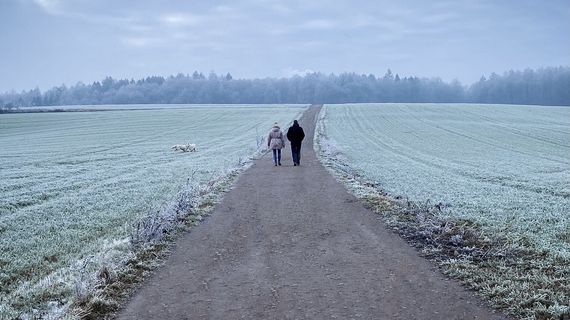 Wandern mit zwei Hunden in frostiger Landschaft