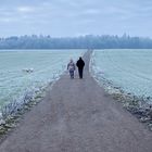 Wandern mit zwei Hunden in frostiger Landschaft