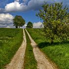 Wandern oder nur spazieren gehen?