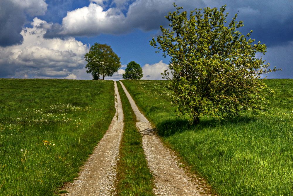 Wandern oder nur spazieren gehen?