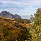 wandern oder spaziergang