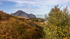 wandern oder spaziergang