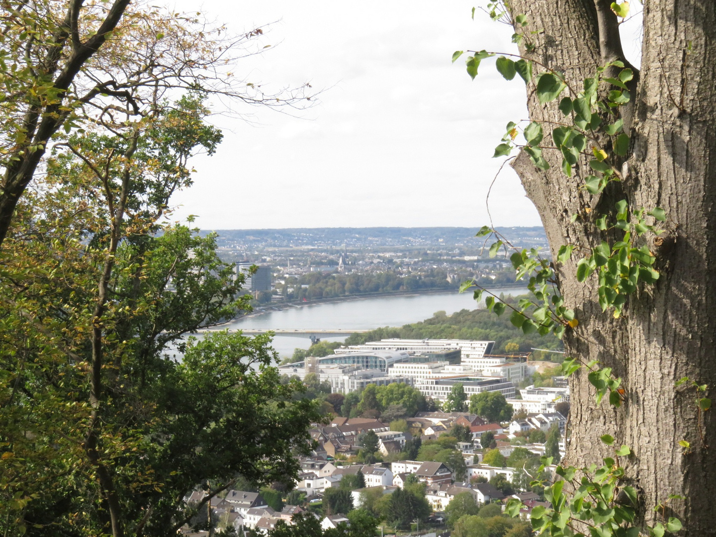 Wandern Rheinsteig Bonn