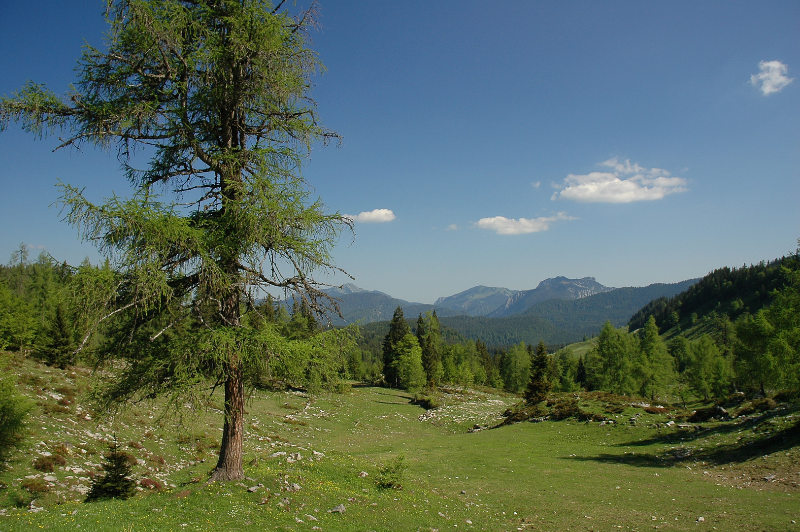 Wandern rund um die Steinplatte