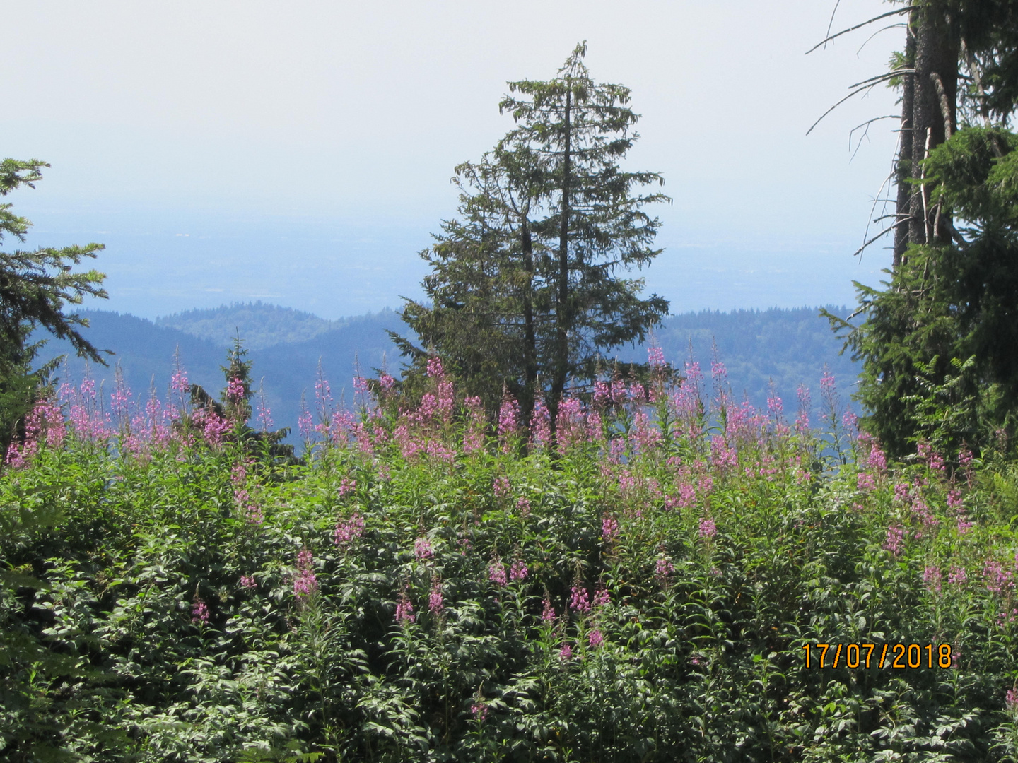 wandern schliffkopf 017