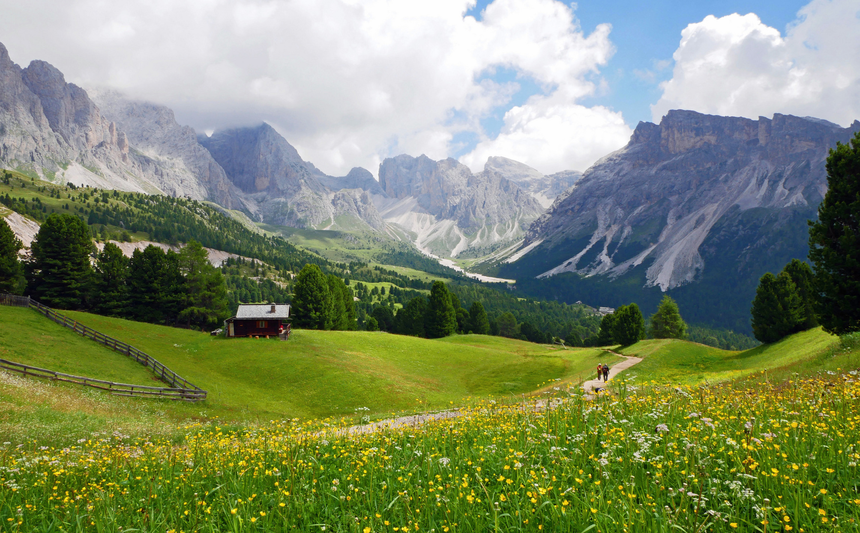 Wandern über Almwiesen