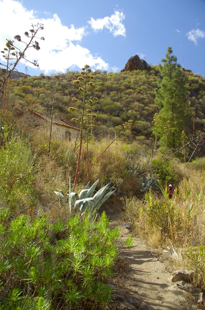 Wandern um Bentaiga