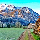 Wandern um das Schloss Neuschwanstein