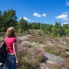 Wandern um den Vänernsee