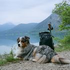 Wandern um den Walchensee