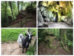 Wandern um Egloffstein